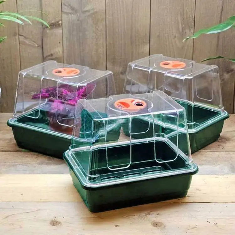 Wexthuset Minidrivhus Liten Utan Hål Grön 3-Pack