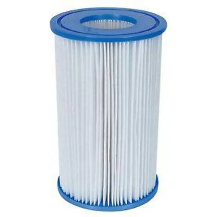 Intex Type A Filterpatron