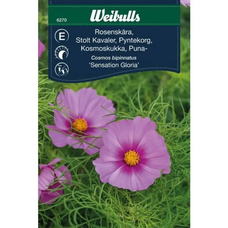 Weibulls Blomfrö Rosenskära Sensation Gloria