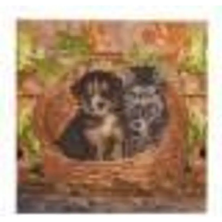 CRYSTAL ART Diamond Painting Kit Cat