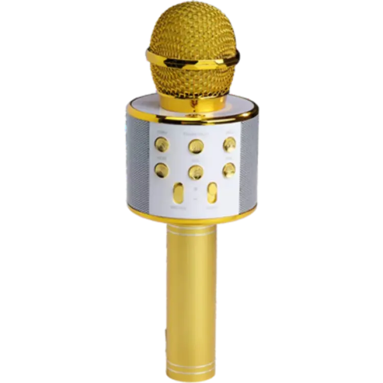 Denver KMS-20G Karaoke