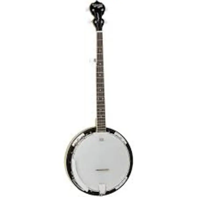 Tanglewood TWB 18 M5