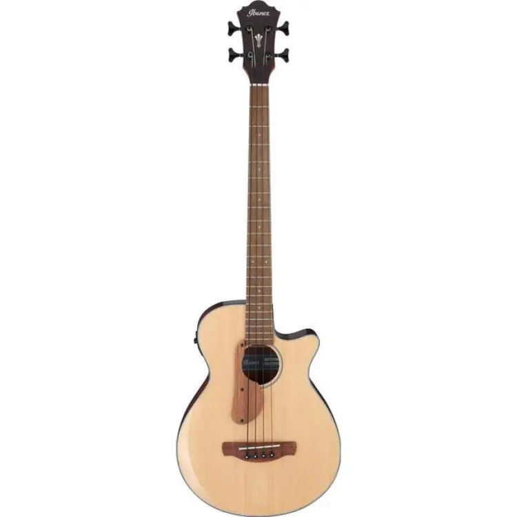 Ibanez AEGB30E
