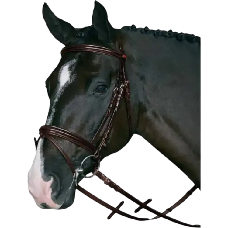 Horse Guard Träns med Tyglar HG Brun Shetland