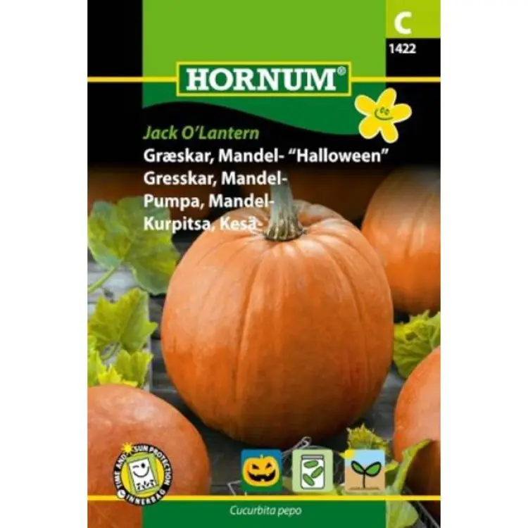 Hornum Mandelpumpa Jack O Lantern