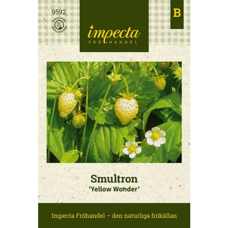 Impecta Smultron Yellow Wonder Fragaria Vesca