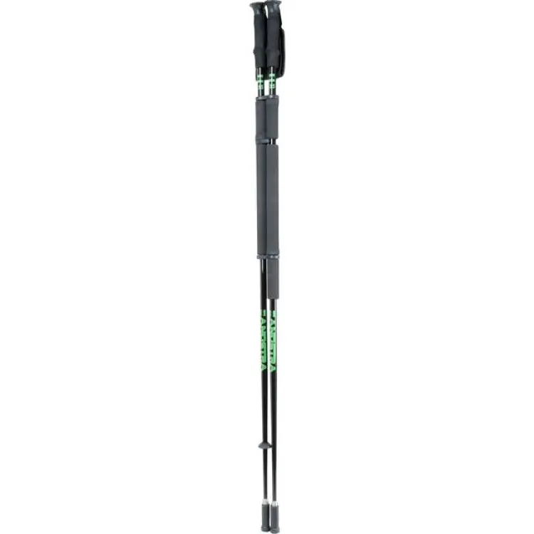 Zandstra Dubbel Ispik-145