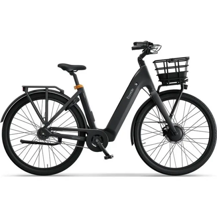 Ecoride Ambassador 4 Hub Fotbroms Svart Unisex