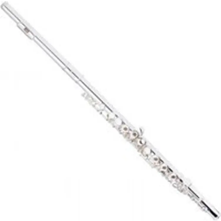 Stagg FL241S Flute New C Flute