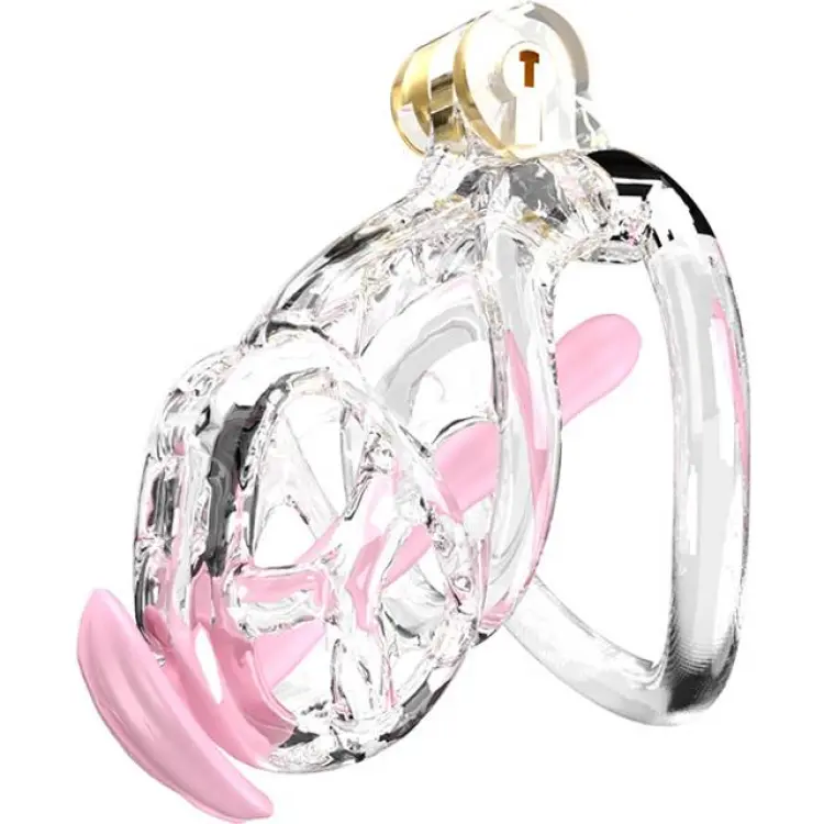 Cellmate Guardian Chastity Cage