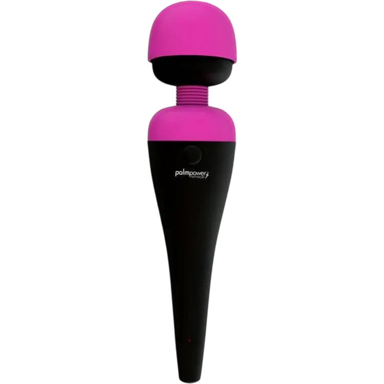 PalmPower Recharge