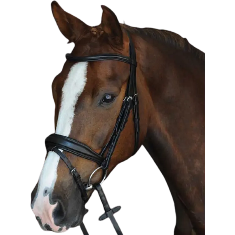 Collegiate Mono Crown Padded Raised Flash Bridle