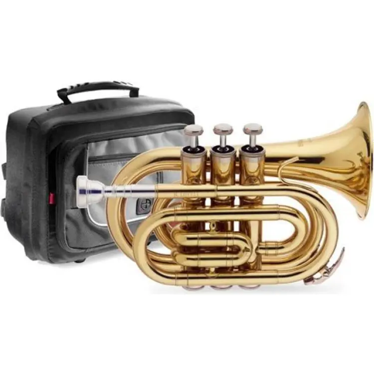 Stagg WS-TR245S