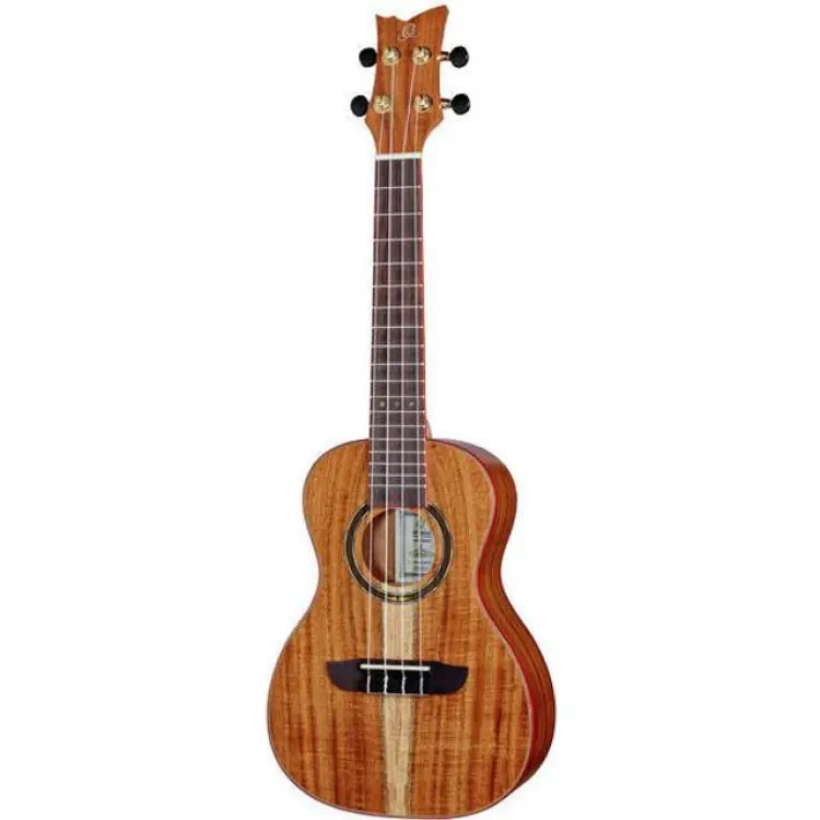 Ortega RUACA-CC