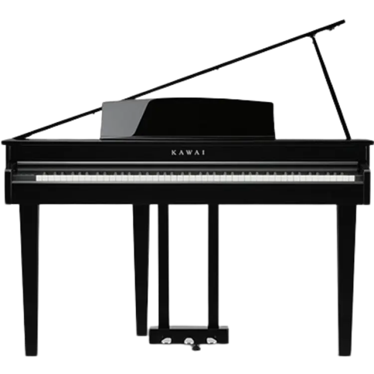 Kawai DG-30