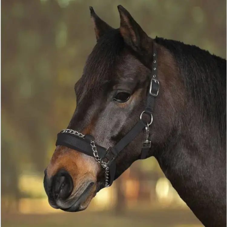 Horse Guard Horse Guard Nylongrimma Med Kedja - Svart