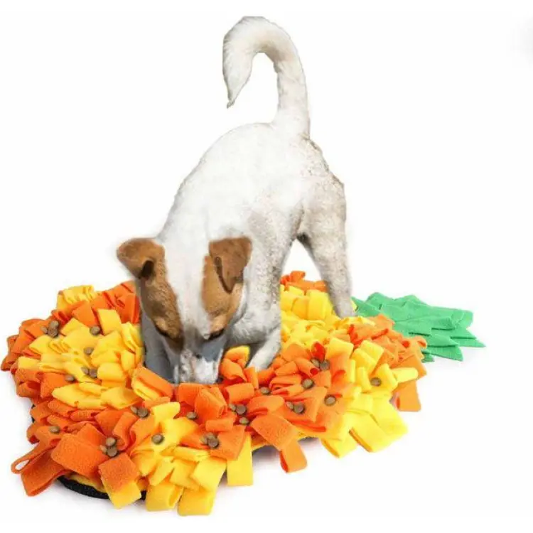 Imazo Snuffelmatta till Hund Mental Aktivering Gul/Orange