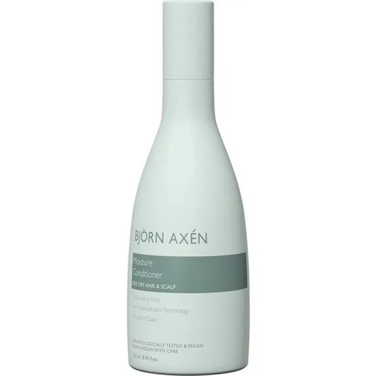 Björn Axén Moisture Conditioner 250 ml
