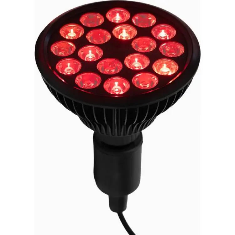 Flowlife Flowlight Bulb 50 Six Waves