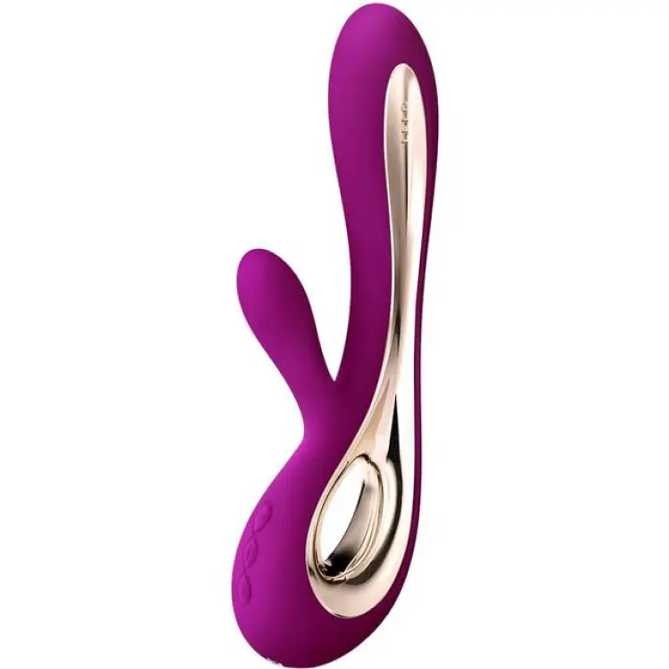 Vibrator dam