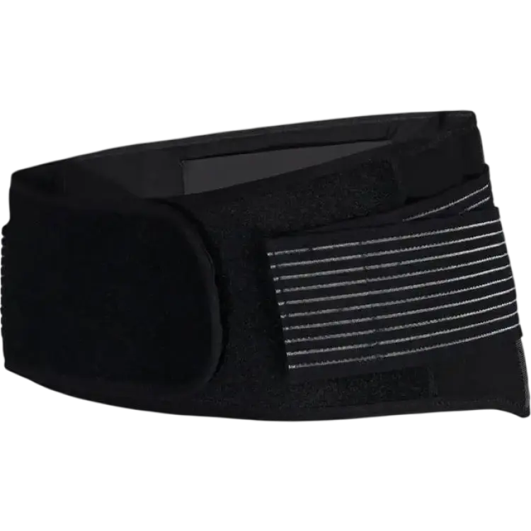 Belly band gravid