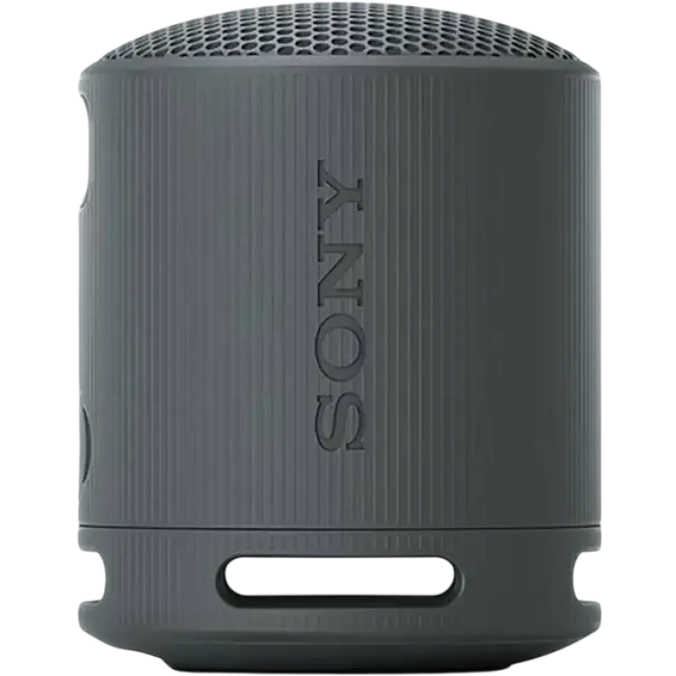 Sony SRS-XB100 Black