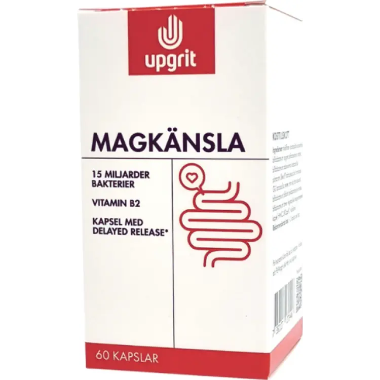 Magkänsla Mjölksyrabakterier
