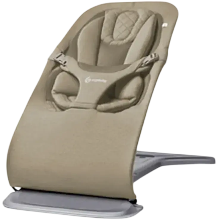 Ergobaby Evolve 3 In 1 Bouncer