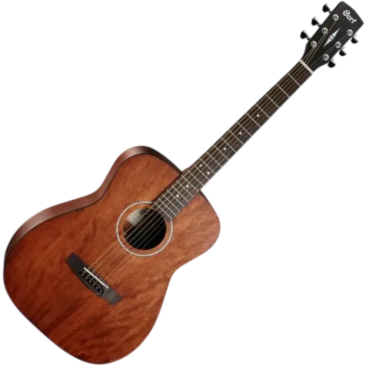 Cort AF510M