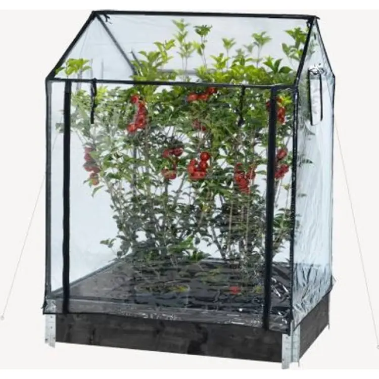 Hortus växthus för odlingskrage 211-152