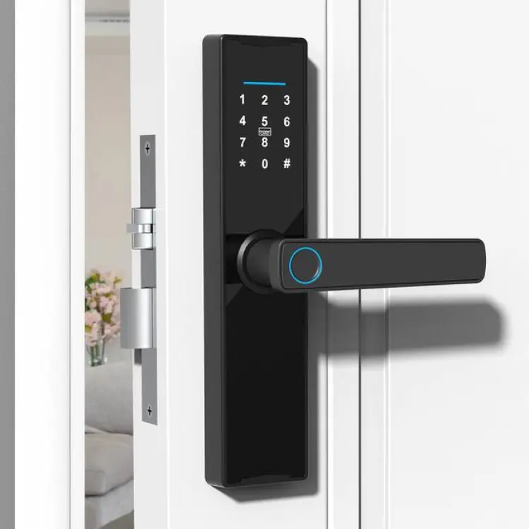 Neoglint WiFi Smart Lock Keyless Entry Dörrlås